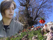 Şehit Nucan - Cennet Dirlik